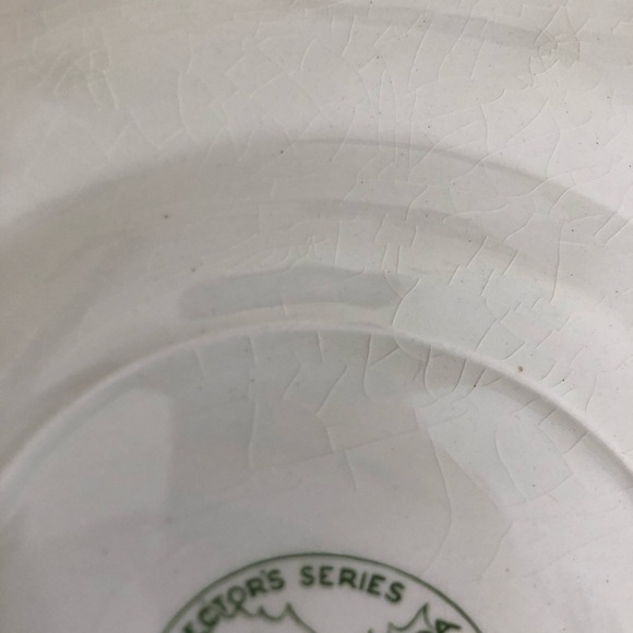 Vtg Wood and Sons Magnetic Hill Souvenir Plate - Picture 8 of 10